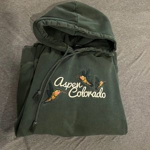Brandy Melville Aspen Hoodie